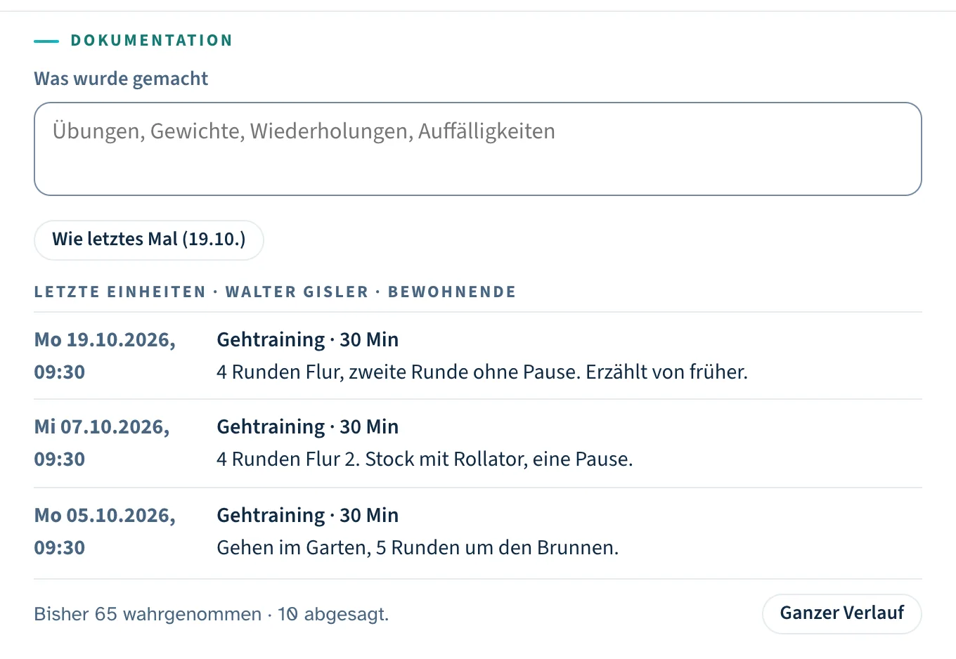Ausschnitt eines Termins im «Musterheim (Demo)»: das Feld für die Dokumentation, der Knopf «Wie letztes Mal» und die letzten drei Einheiten derselben erfundenen Person.